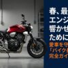 春、最高のエンジン音を響かせるために。愛車を守る「バイク長期保管」完全ガイド
